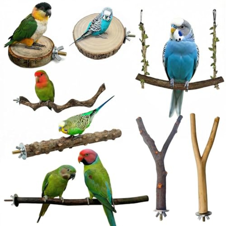 Health & Wellness Là Gì - 8 Stück Vogelsitzstangen aus Naturholz für