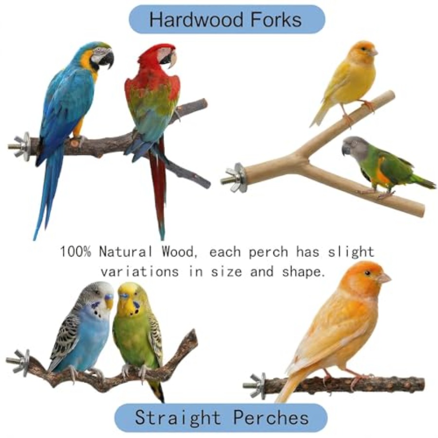8 Stück Vogelsitzstangen aus N – Health & Wellness Là Gì Bewertung und Preis